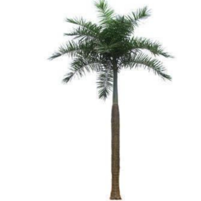 Velké vnější umělé kokosové stromy